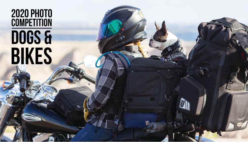 Dogs & Bikes Photo Competition 2020