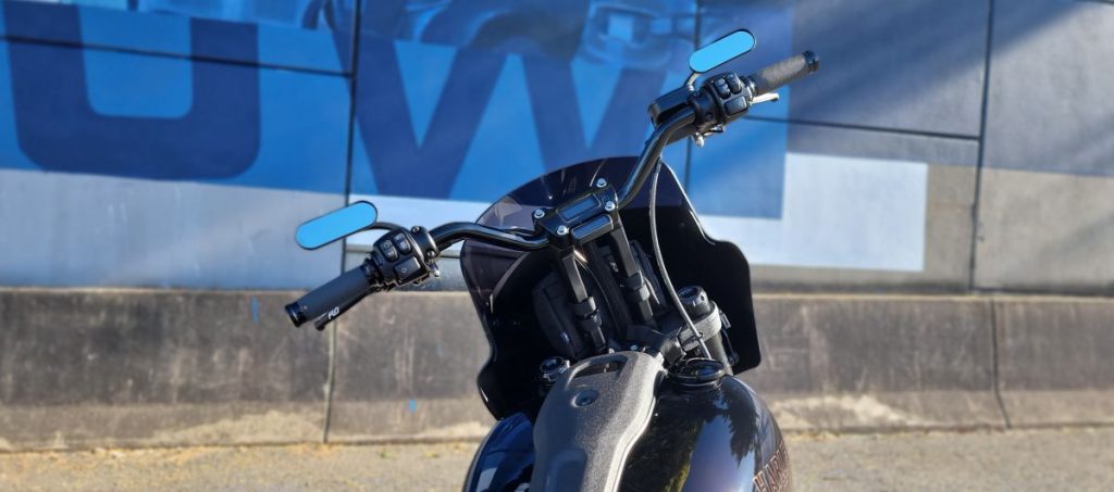 2022 Low Rider S with Thrashin - Arlen Ness - Flo