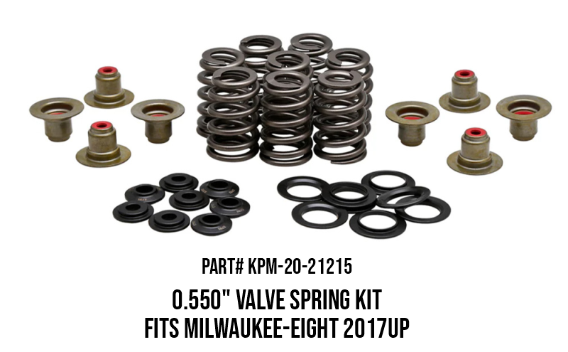 Kibblewhite M8 Valve Spring Kit 550in